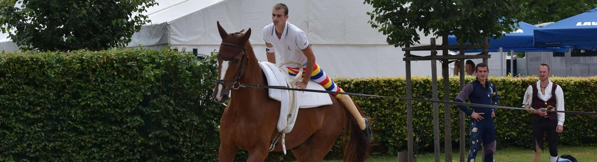 Hírek | Kaposvári Egyetem Bence Balázs ismét a világ legjobbjai között