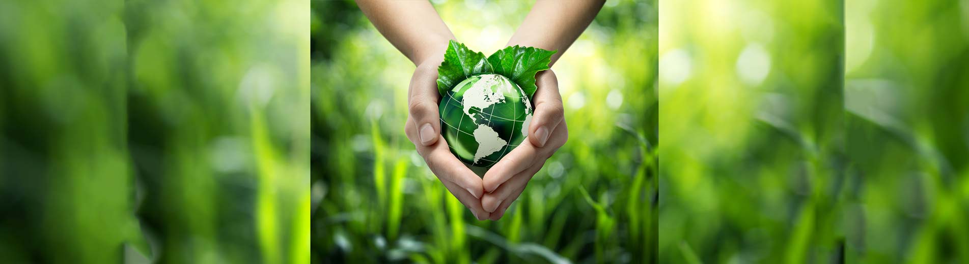 Egy Egészség (One Health) Program