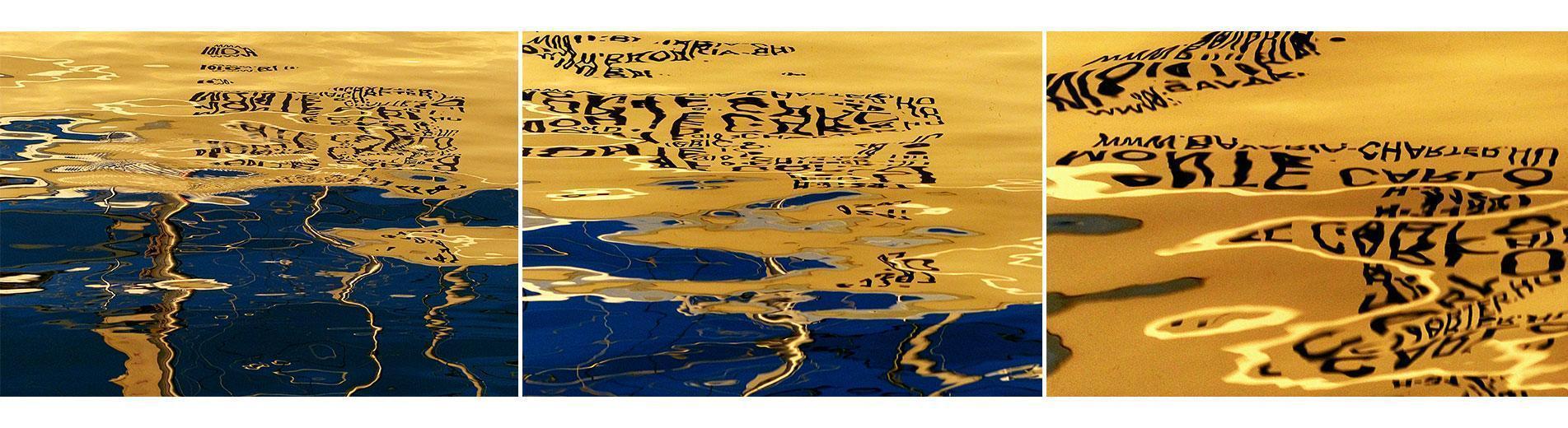 Hírek | Kaposvári Egyetem Lieber Erzsébet DLA az MMA köztestületi tagja