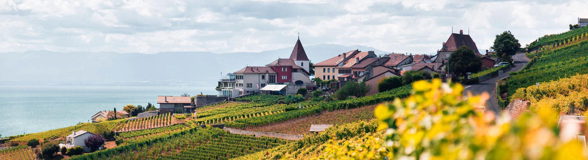 Hírek | Kaposvári Egyetem Projekt az ökoturizmusért