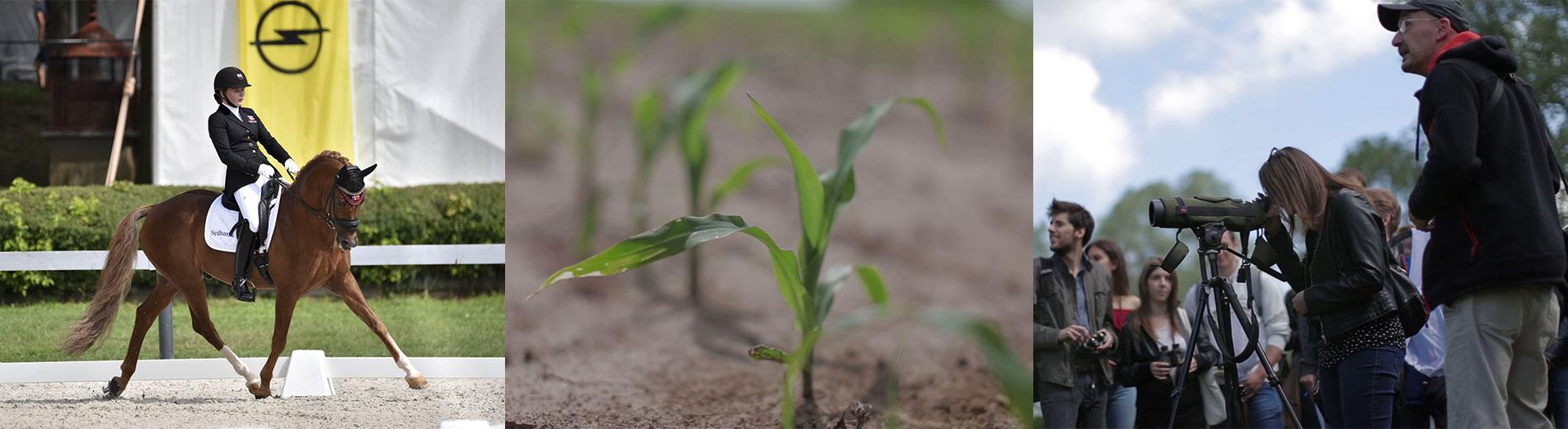 Hírek | Kaposvári Egyetem Ifjúsági egyetem a Kaposvári Egyetem Agrár- és Környezettudományi Karán