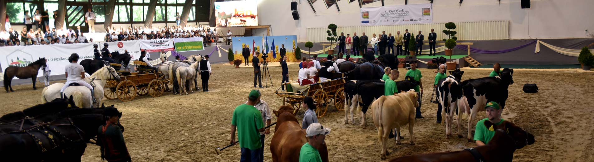 Hírek | Kaposvári Egyetem 20170901 kan borito