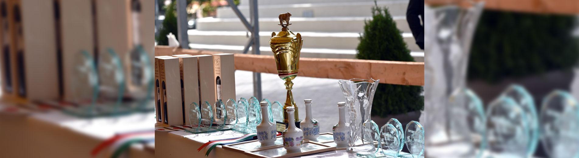 Hírek | Kaposvári Egyetem Nemzetközi díj Kanadából