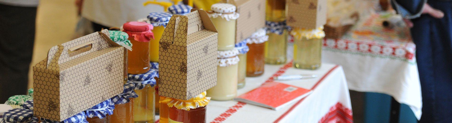 Hírek | Kaposvári Egyetem A seniorok is a helyit választották