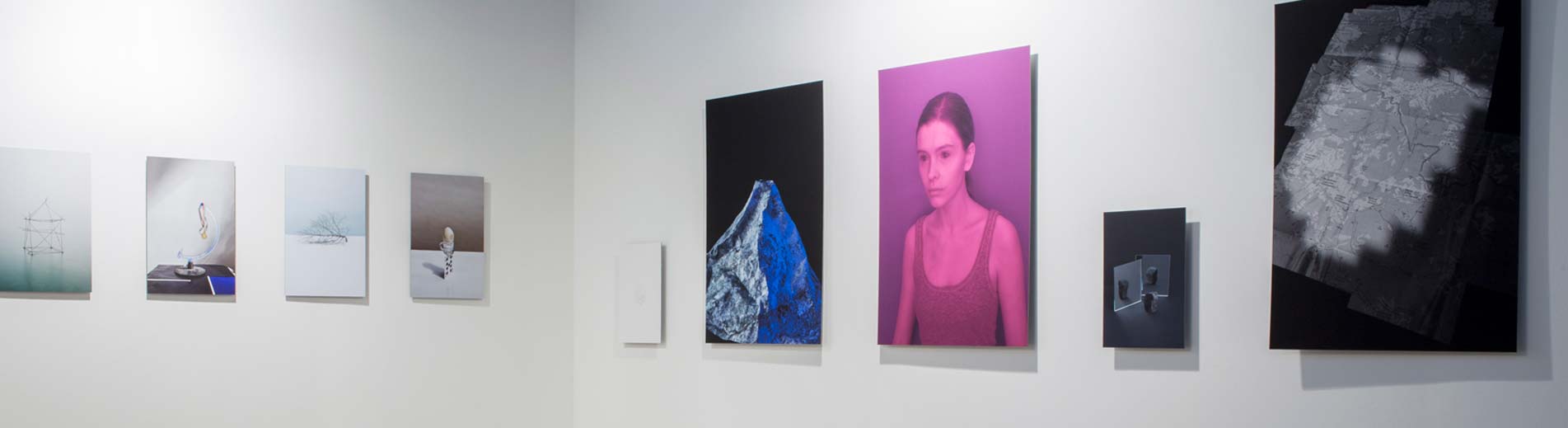 Hírek | Kaposvári Egyetem A Kaposvári Egyetem hallgatói is megmutatták tehetségüket Budapesten.