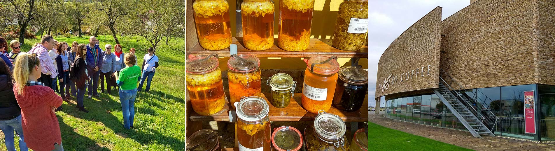 Hírek | Kaposvári Egyetem Ausztriában szereztek tapasztalatokat