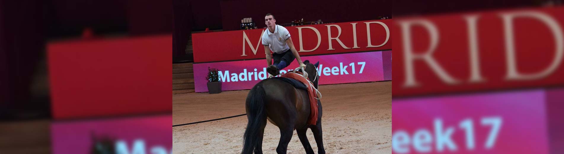 Hírek | Kaposvári Egyetem Bronzérmes Bence Balázs a Lovastorna Világkupán