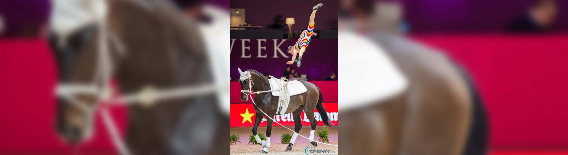 Bence ismét a világ legjobbjai között Bence ismét a világ legjobbjai között