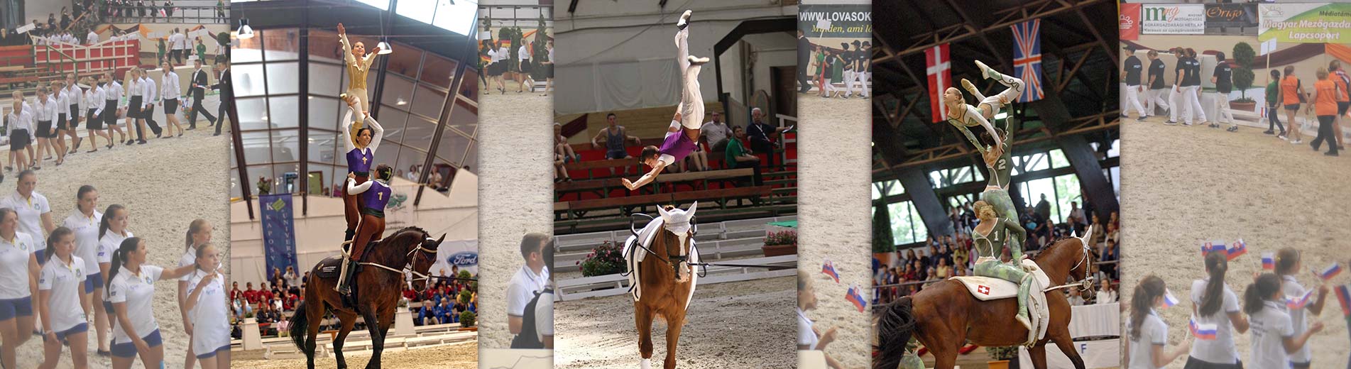 Hírek | Kaposvári Egyetem 13 ország mintegy 250 versenyzője érkezik augusztus 1-5. között Kaposvárra a Junior Lovastorna Európa-bajnokságra