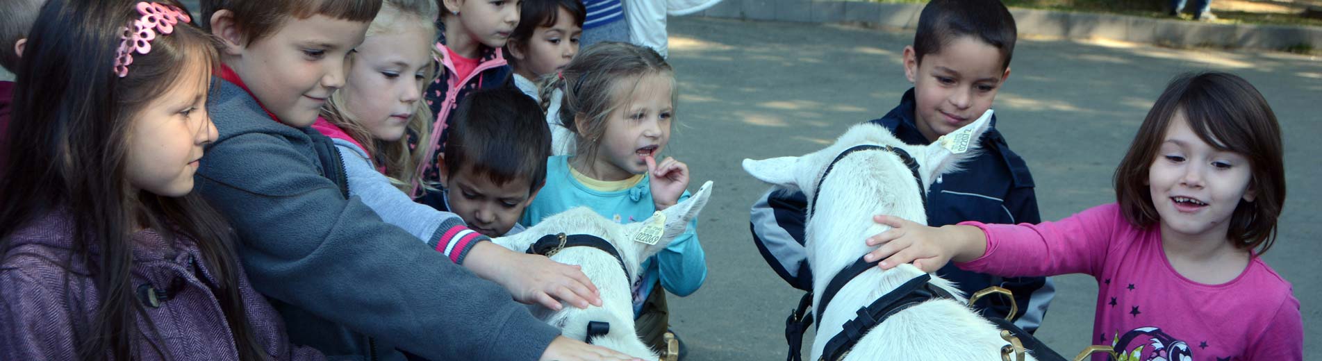 Hírek | Kaposvári Egyetem Színes családi programok a XII. Kaposvári Állattenyésztési Napokon