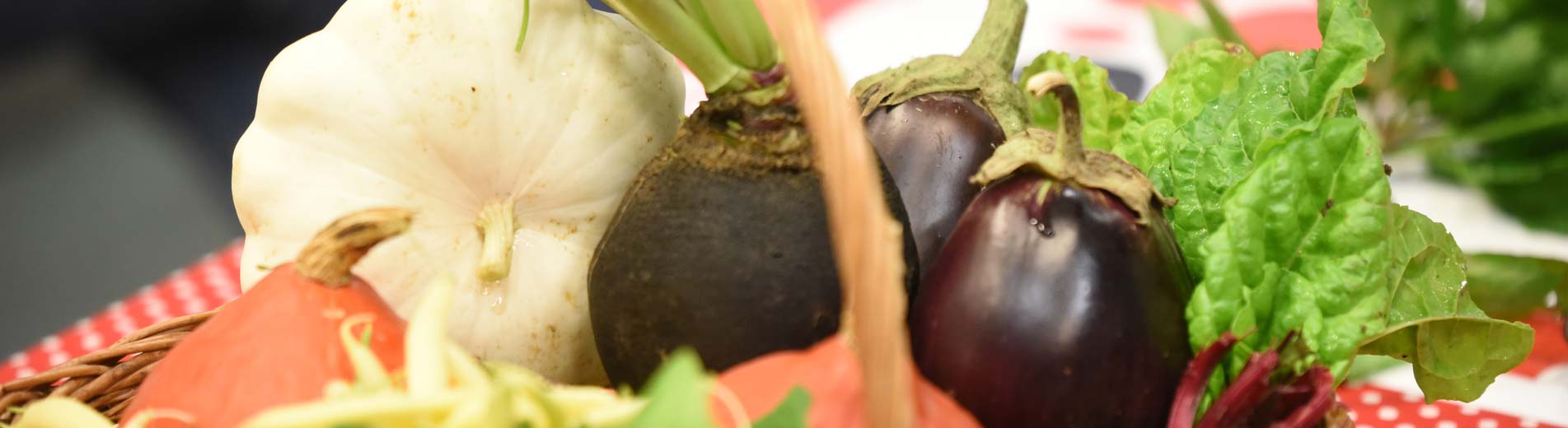 Hírek | Kaposvári Egyetem Az étteremtulajdonosok és a termelők találhattak egymásra a Kaposvári Egyetemen.