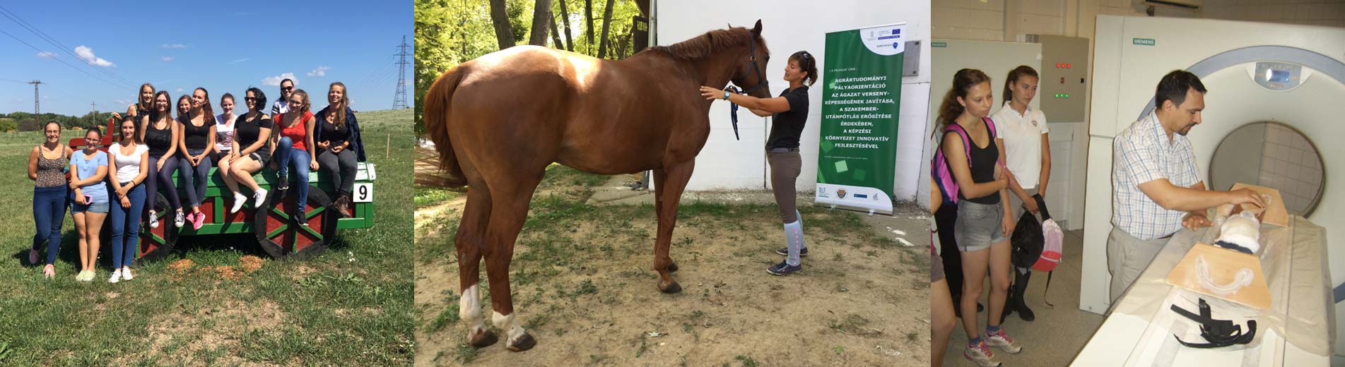 Hírek | Kaposvári Egyetem Ifjúsági egyetem a Kaposvári Egyetem Agrár- és Környezettudományi Karán