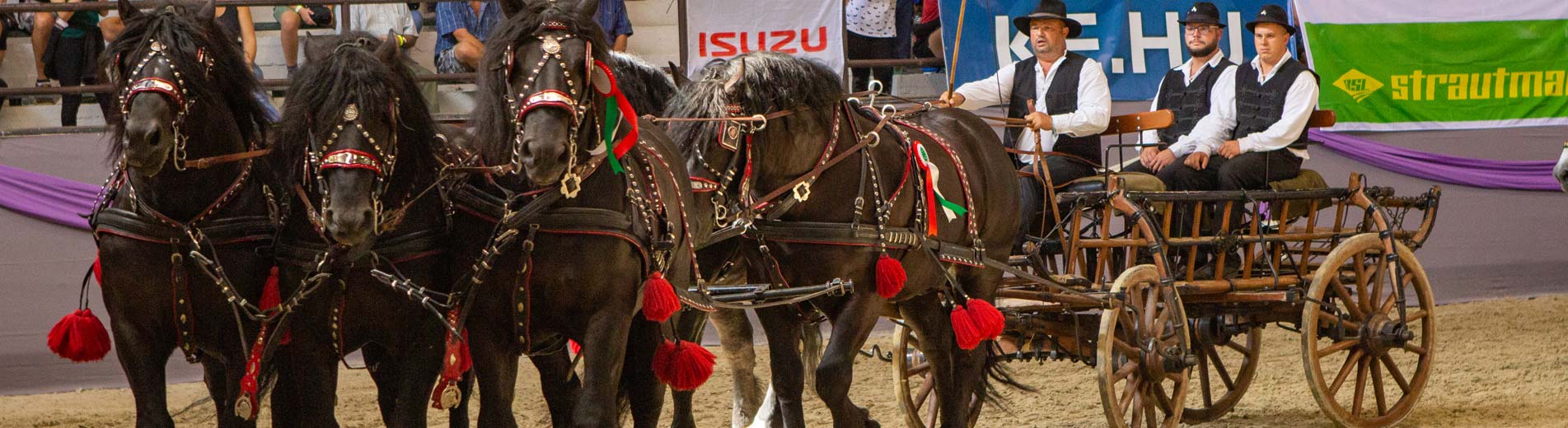 Hírek | Kaposvári Egyetem A három nap alatt mintegy 25 ezren látogattak el a megújult Kaposvári Állattenyésztési Napokra.