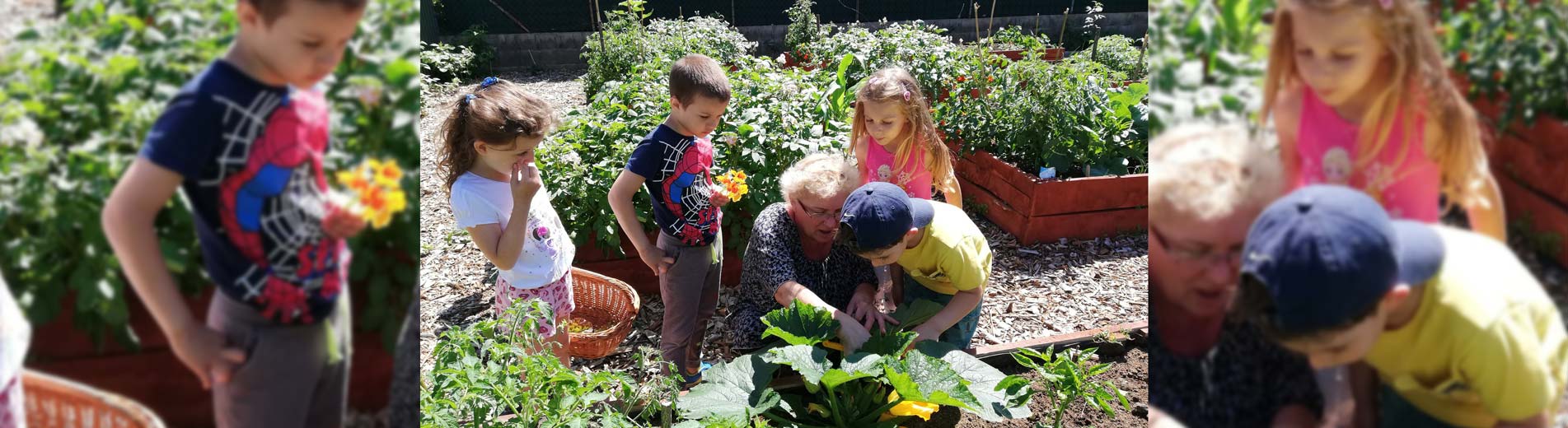 Élményporta – Nagy munkában a kis kertészek | Kaposvári Egyetem A gyerekek a Kaposvári Egyetem Gyakorló Óvodájának Élménykertjében