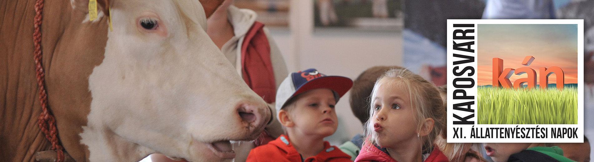 Hírek | Kaposvári Egyetem XI. Kaposvári Állattenyésztési Napok a Kaposvári Egyetemen 2017. szeptember 1-3. között