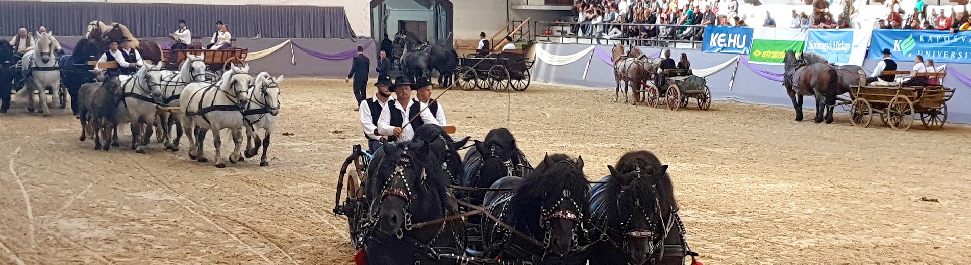 Hírek | Kaposvári Egyetem Megnyitotta kapuit a megújult KÁN