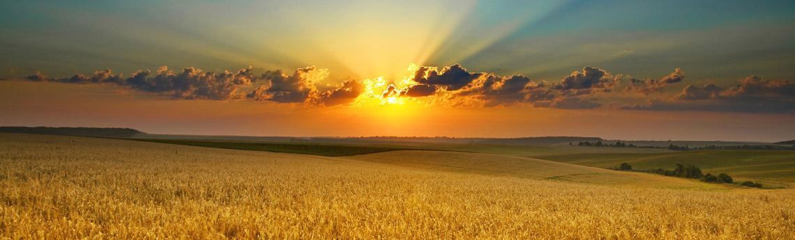 Hírek | Kaposvári Egyetem agricultural 1000