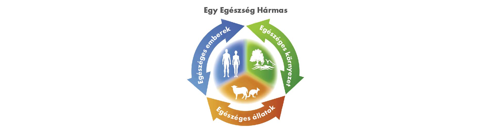 Egy Egészseg Program