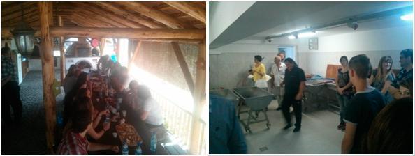 Beszámoló | Kaposvári Egyetem kaktusz 02