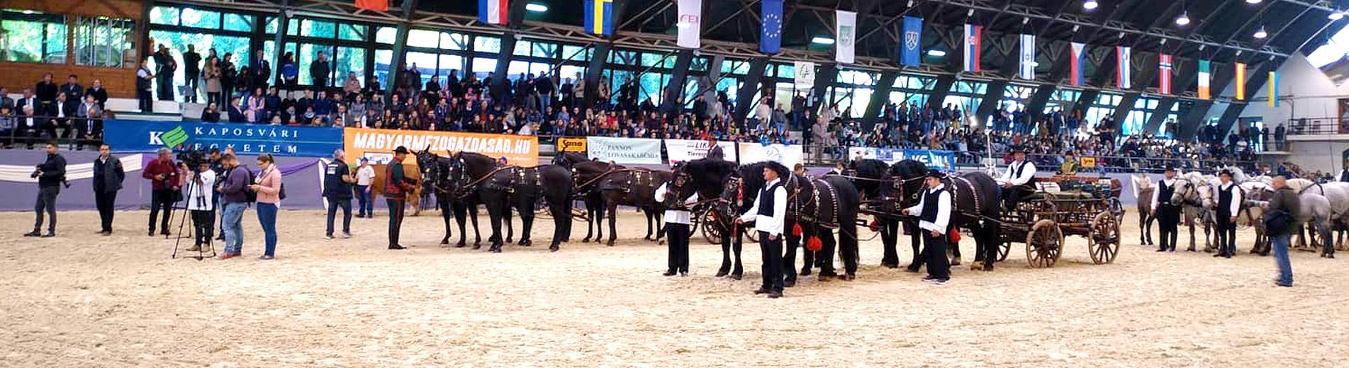 Hírek | Kaposvári Egyetem megnyitott a KAN