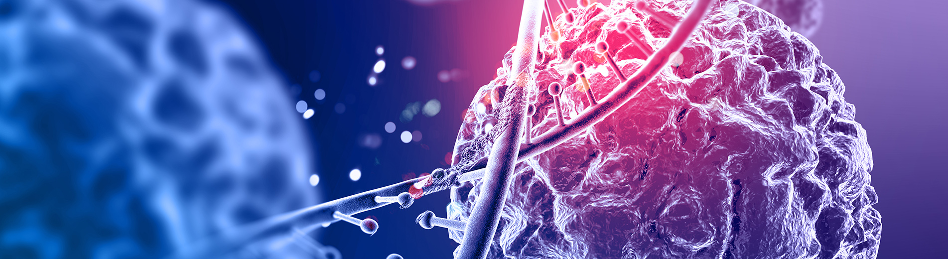 Frissítve: 2020. július 3. - Koronavírus – Legfontosabb tudnivalók a koronavírussal kapcsolatos intézkedésekről | Kaposvári Egyetem Koronavírus – Egyetemünk megtette az óvintézkedéseket