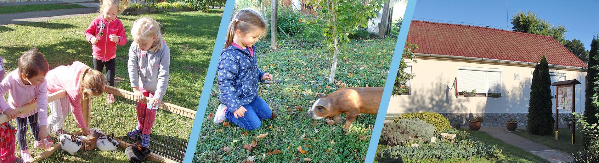 Hírek | Kaposvári Egyetem ovi 1903