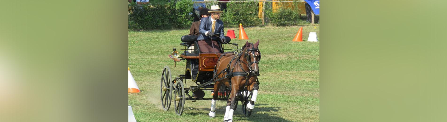 Hírek | Kaposvári Egyetem palkovics eb